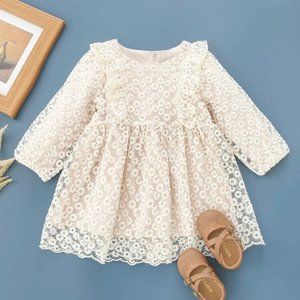 Baby Floral Embroidery Mesh Dress